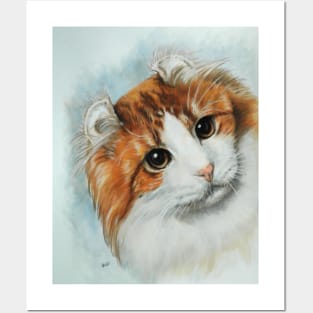 American Curl Portrait Posters and Art